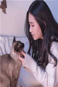 妈宝男该死列表