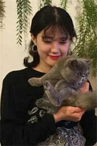 从不回头看爱是哪本