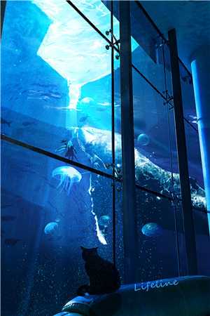 三年归零免费阅读