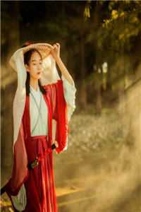 重生后，收养大侄女已完结