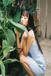 我用花瓶通古今免费