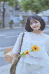 官路无尽卫江南高妍番外