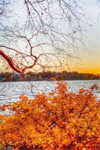 我用花瓶通古今无删减全文