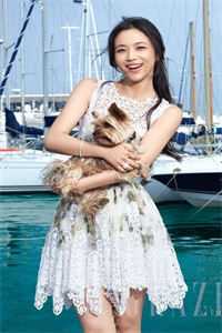 迎娶老婆后，他在官场乘风破浪完整版