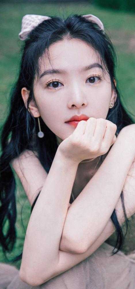 何须相思煮余年全篇