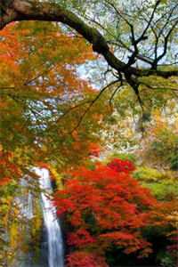 女友拍了床照，男人却不是我精选