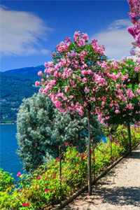 闺蜜的男友抖音