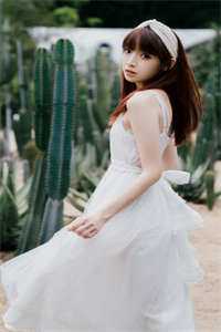 心机表妹要换嫁，我笑着同意已完结