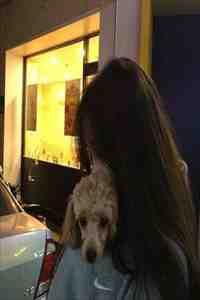 脑癌晚期，妻子恨我入骨全局