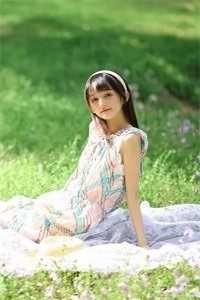 官婿美人香全篇