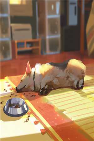 抢我姻缘?转身嫁暴君夺后位前文+