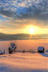 来日方长，不如相忘推介