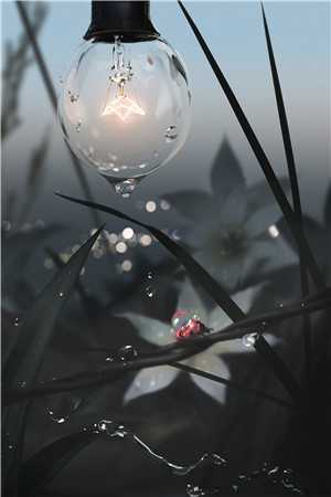 死生不复相见萧瑾沈知弱无删减+无广告