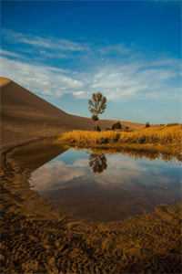 成为首辅继室后，我看上了继子完本