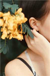 我用花瓶通古今番外