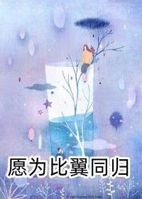 你是恩赐也是劫畅销巨著