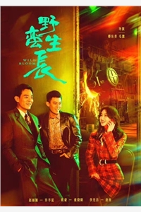 爱已成空，妄念破碎未删减版