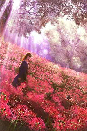 强扭的校草不甜,重逢后她想远离番外