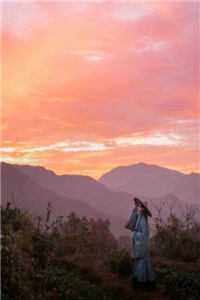 官婿美人香刘志中卢玉清小说