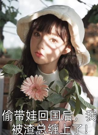 京夜招惹章节