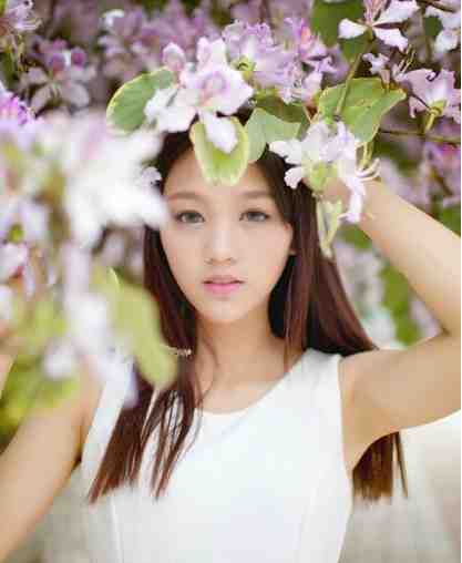 女儿车祸快死，老公却救白月光的狗秦知安安后续+全文