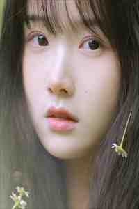 娇娇封心锁爱，总裁深陷火葬场了陆铭声顾岚