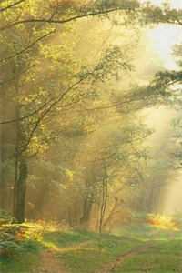 巅峰人生周晴张龙