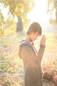 转生神树后，我带家族原地起飞季阳陈兴震