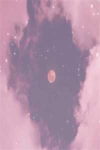 风不念过往经年江远舟沈南意全章节小说