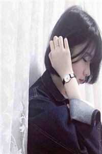 官途风云李福海宋观潮