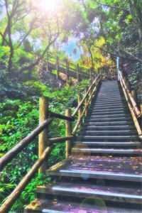 郭瑶林静写的小说两个竹马为了女秘书，逼我做小伏低