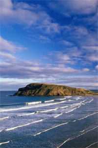 唐氏儿妹妹被侵占后我杀疯了周杰伦浩子