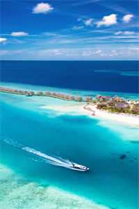 我和龙女有个约会楚河李大强