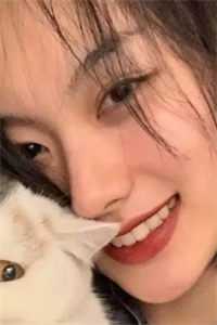 先生,协议请作废苏暖顾北宸