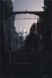 阴阳之媒白曦月森若