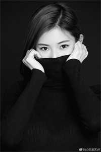 尘缘飞花沈墨浓顾言之最新章节