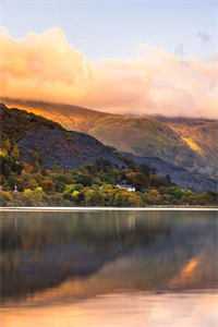 女儿火化时，渣总在为白月光放烟花白月光苏听晚最新章节免费阅读