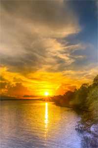 庭院春深秦如意秦大壮