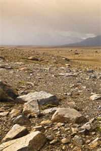 小说我欲登顶(李正安刘建国)