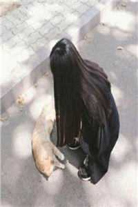 小说全民进入恐怖副本，他成了无上邪帝(赵史孙红莲)