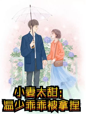 小说我欲登顶(李正安刘建国)