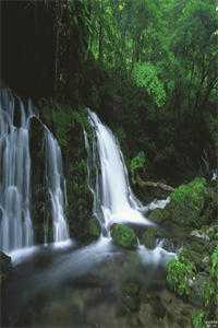 完结版小说星辰黯淡情已逝姜晚柠顾辞远