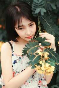谢菱芷聂玖 在线