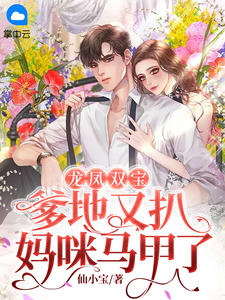 萧景暮云的小说当时只道是寻常