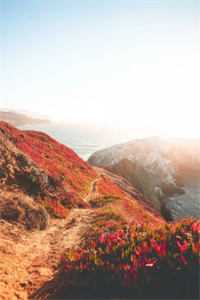 从前种种，譬如昨日死小说陈敬言林月完结版