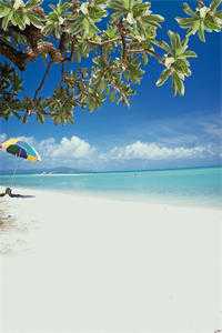 完结版小说失去七情六欲快死了，全京城为我哭坟薛凝薛严