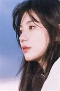 岑疏宁宋谕怀你往前走不要回头小说全文免费阅读