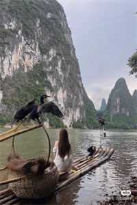 全文小说以爱为囚宋安泽秋晚清