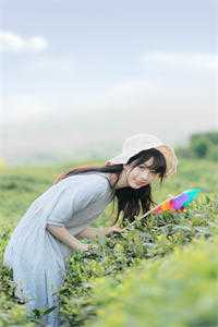 白莲花张雅茹的小说绑定系统后，我走上了人生巅峰免费阅读