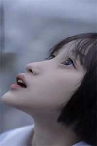 韩照谢清清的小说落花春去免费阅读